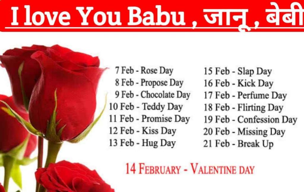 kiss day , taddy day , hug day , rose day , love you babu , i love you babu