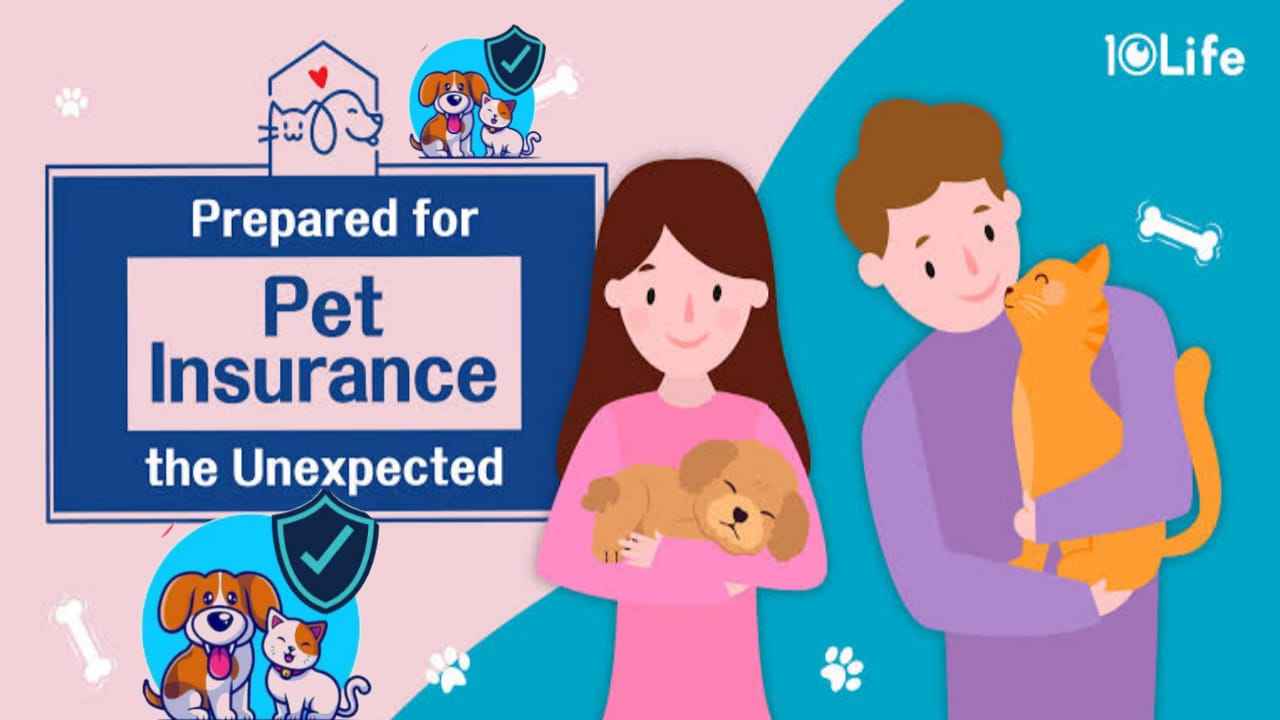 Pet Insurance? how to make secqure pets insuance